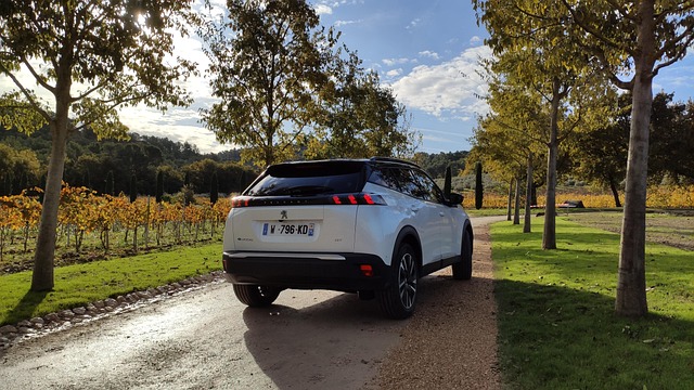 Pristjek: Er det stadig en god investering at købe en brugt tesla?